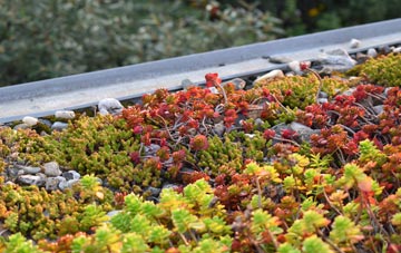 the cost of Hill Street green roof installation